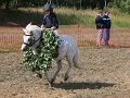 20140824_152309_IMG_8076