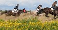 20140824_154313_IMG_8167