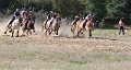20140824_154809_IMG_8199